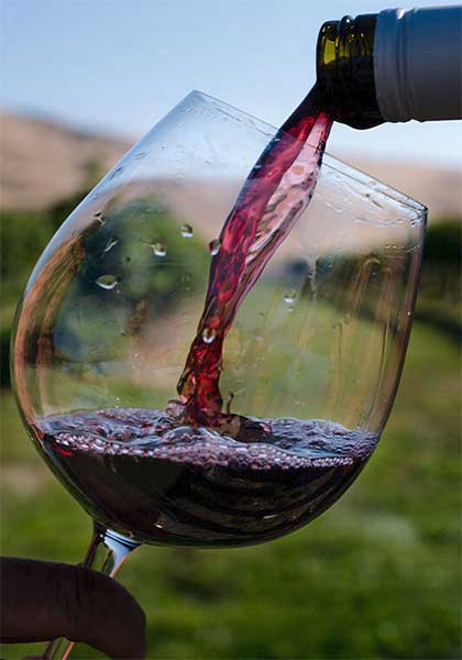 top rated napa valley wine tours
