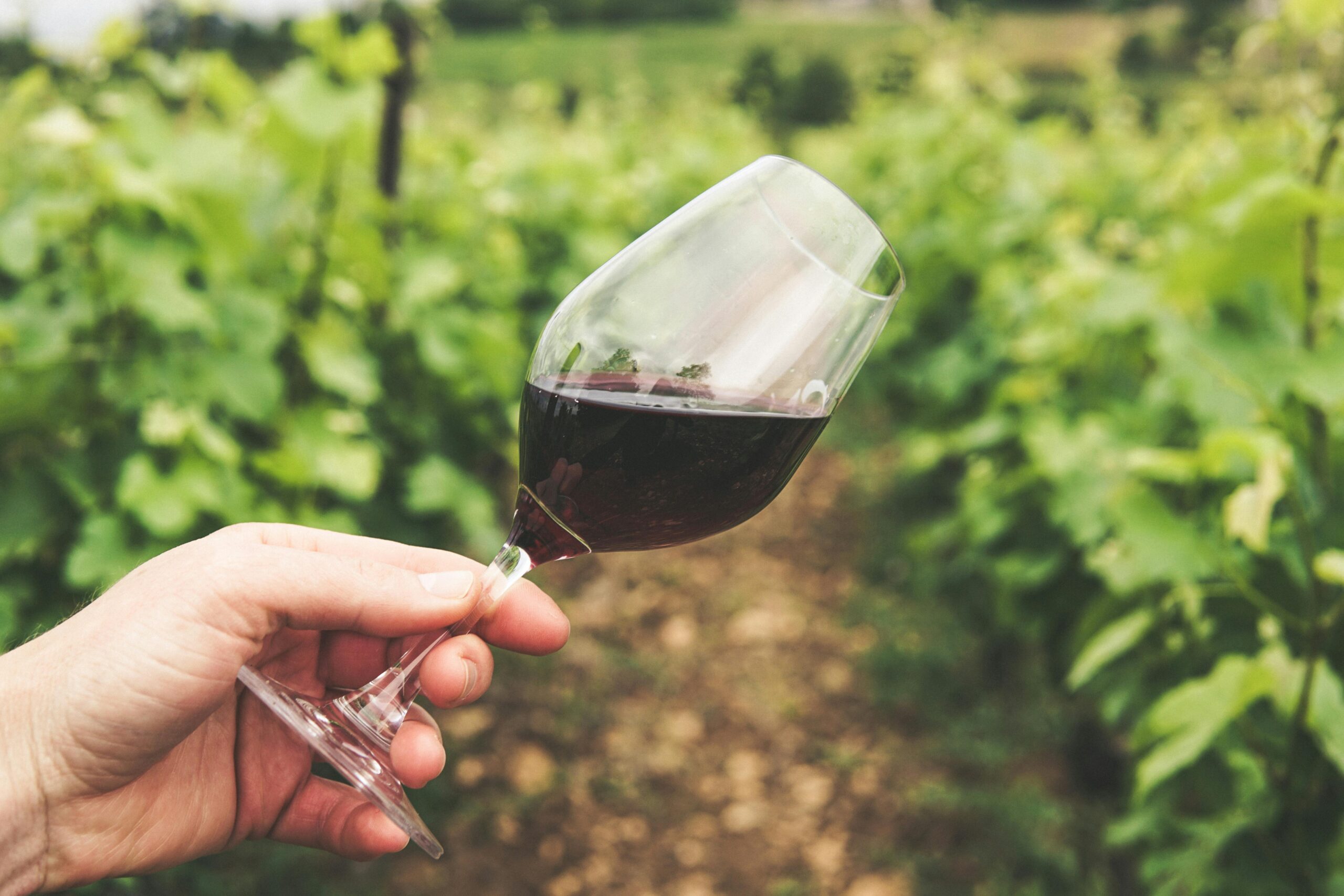 A person holding a glass of wine