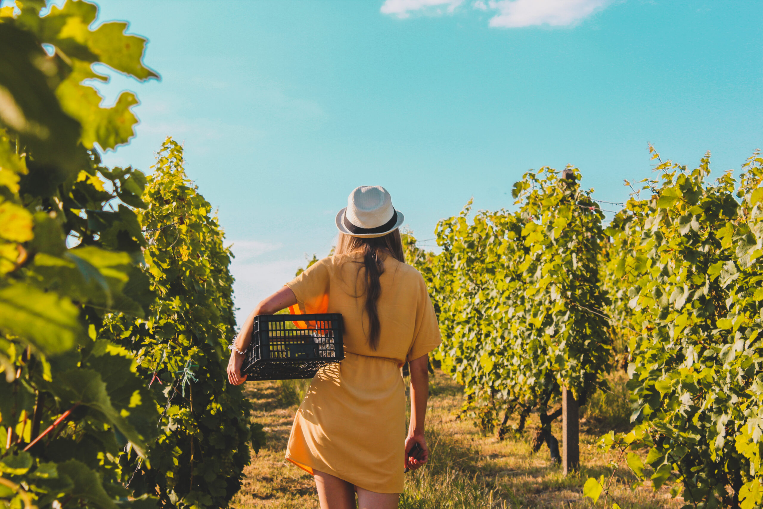 A woman on a wine tour