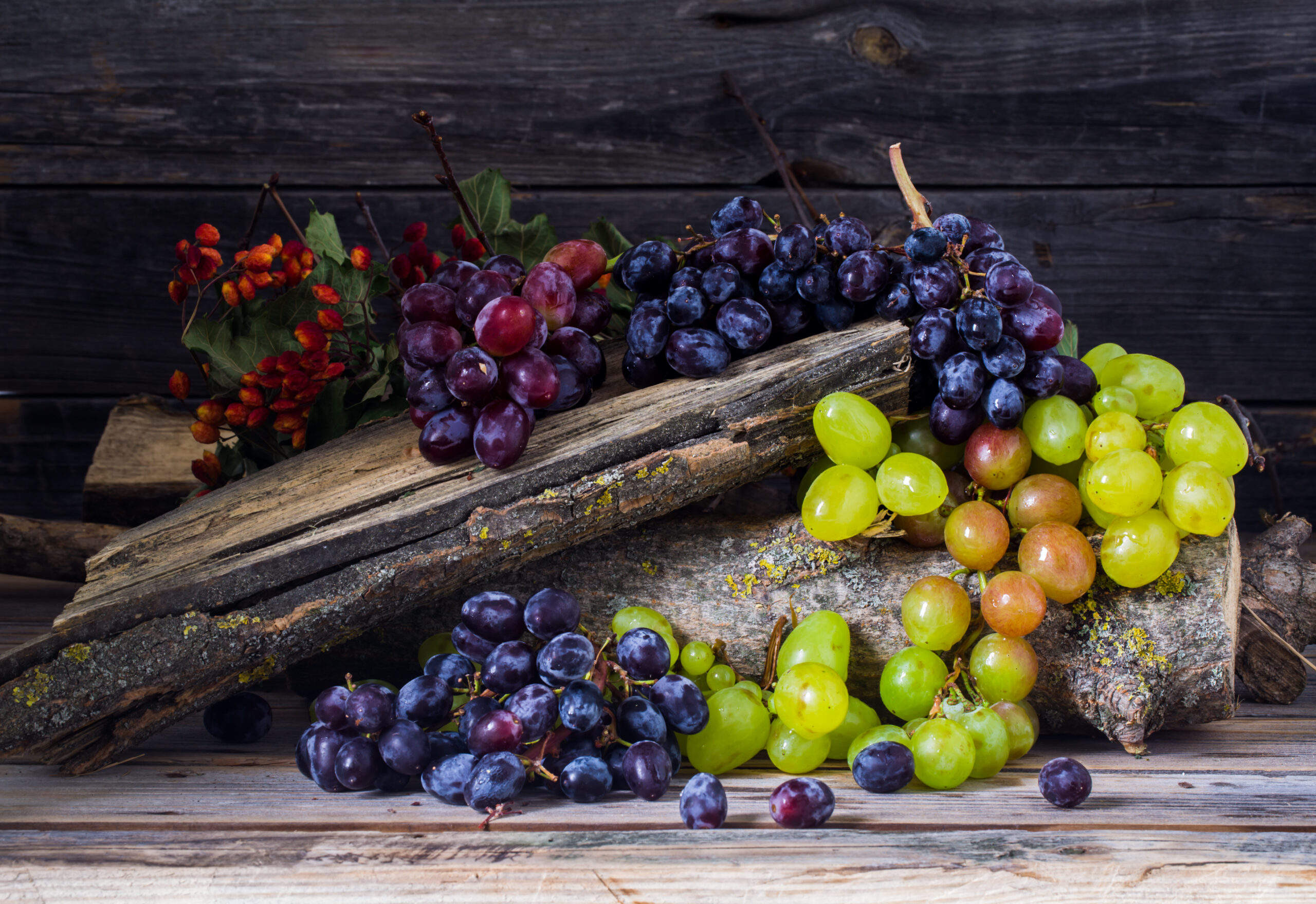 Varieties of grapes