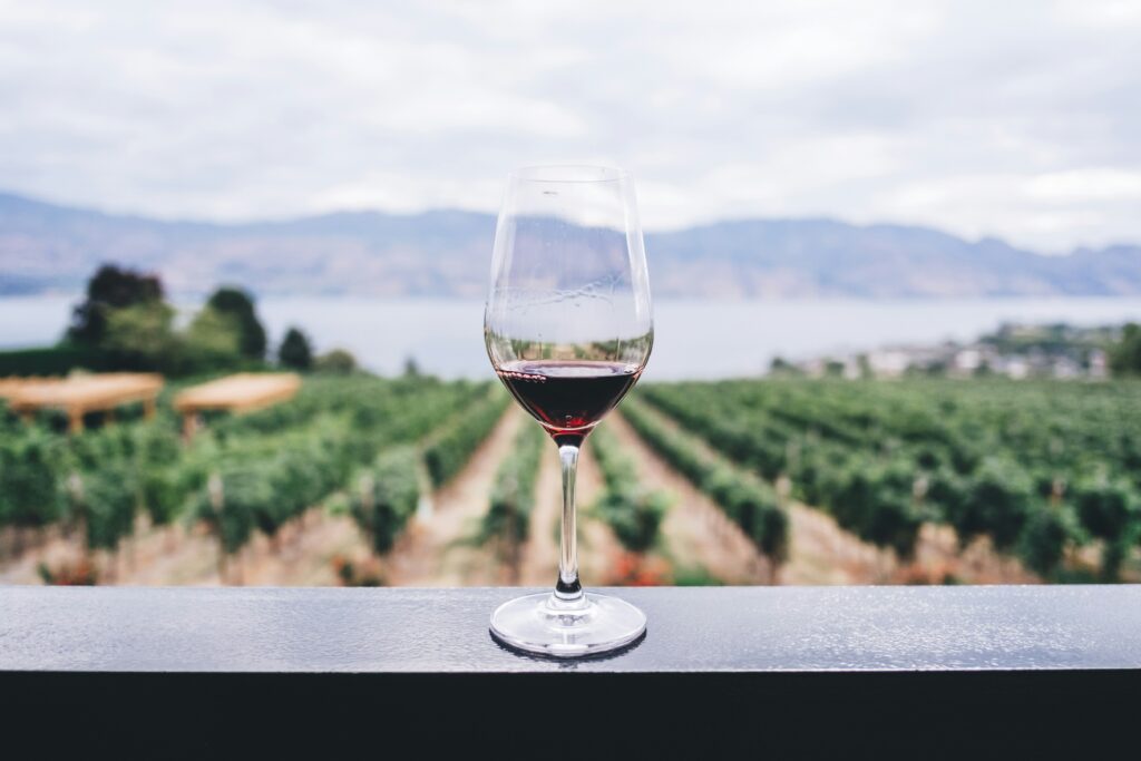 A glass of wine with a vineyard view