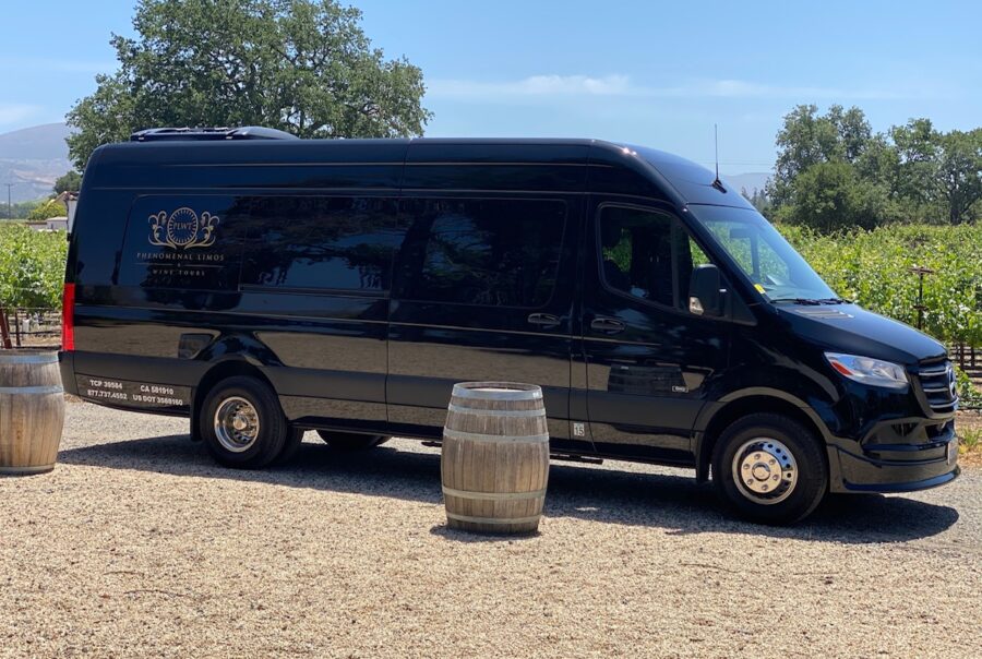 Mercedes Sprinter Limo Bus