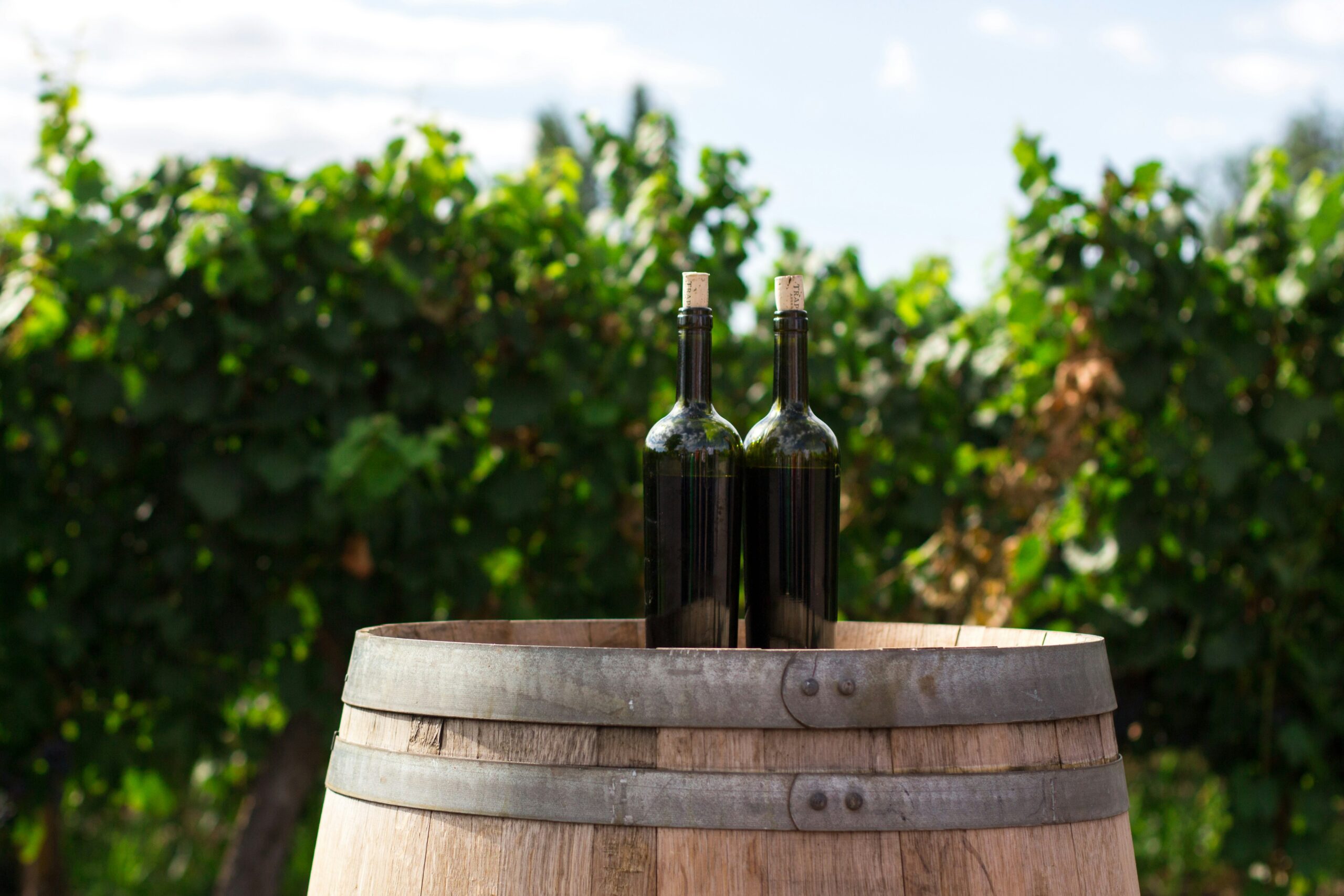 Two bottles of wine on top of wine barrels