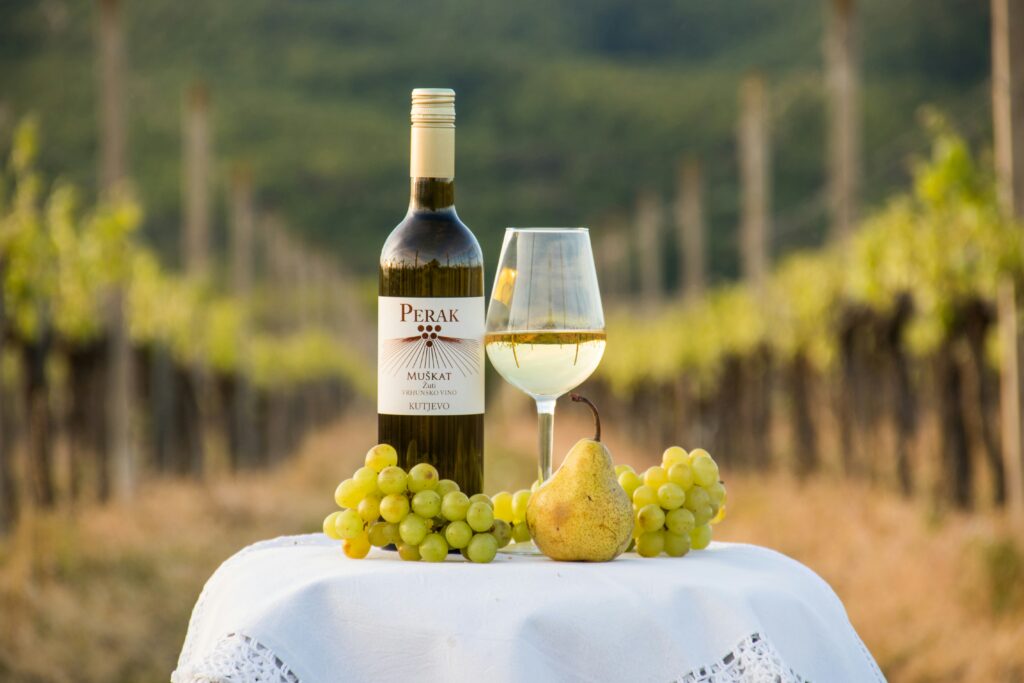 A variety of wines presented during a wine tour.