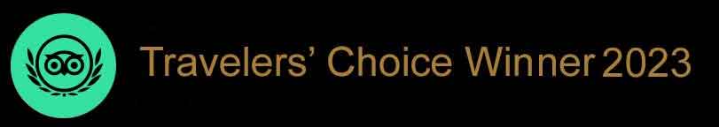 trip advisor travler award