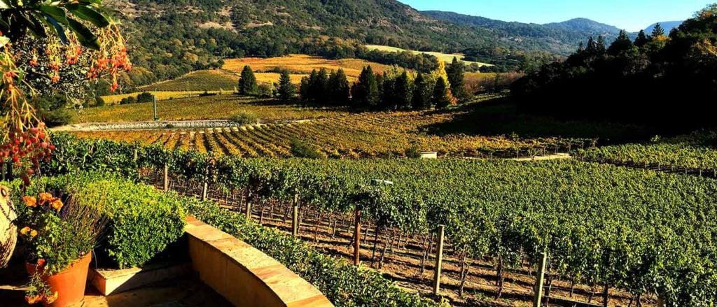 Napa Valley